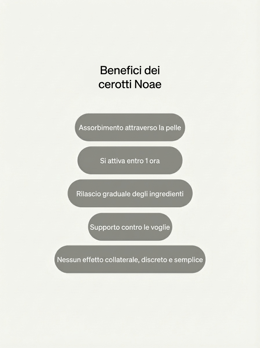 Patch Per Il Controllo Dell'Appetito - Noea™